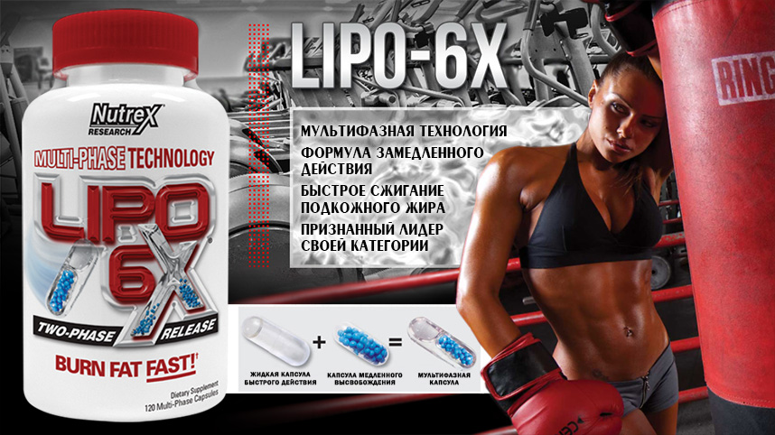 Lipo 6x