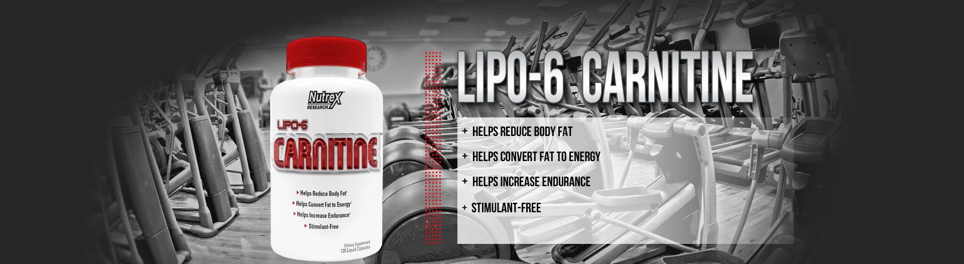 Lipo 6 carnitine