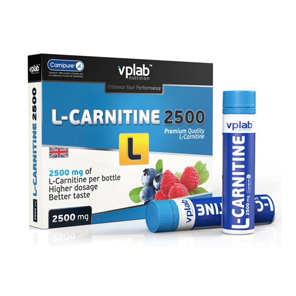 VP Laboratory L-Carnitine 2500