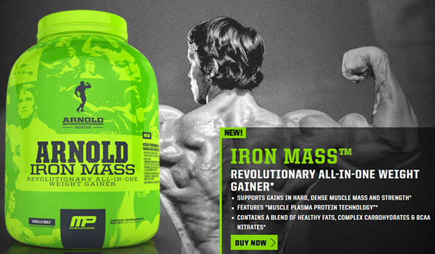 Гейнер Arnold Iron Mass