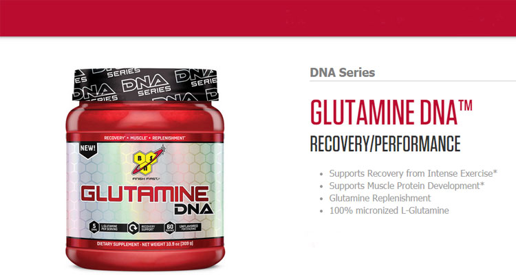 BSN Glutamine DNA