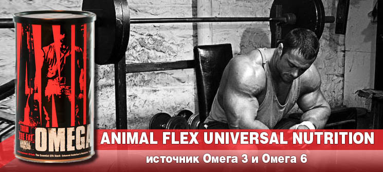 Universal Nutrition Animal Omega