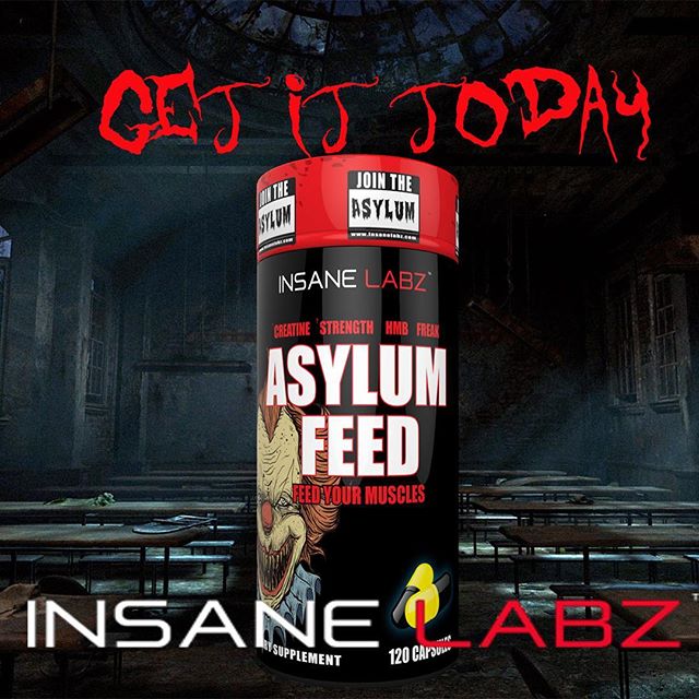 Insane Labz Asylym Feed