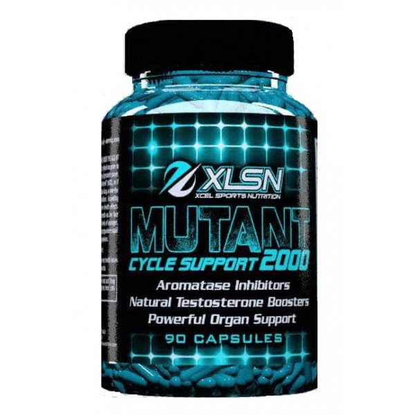 XCEL MUTANT CYCLE SUPPORT